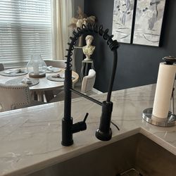Kitchen Faucet