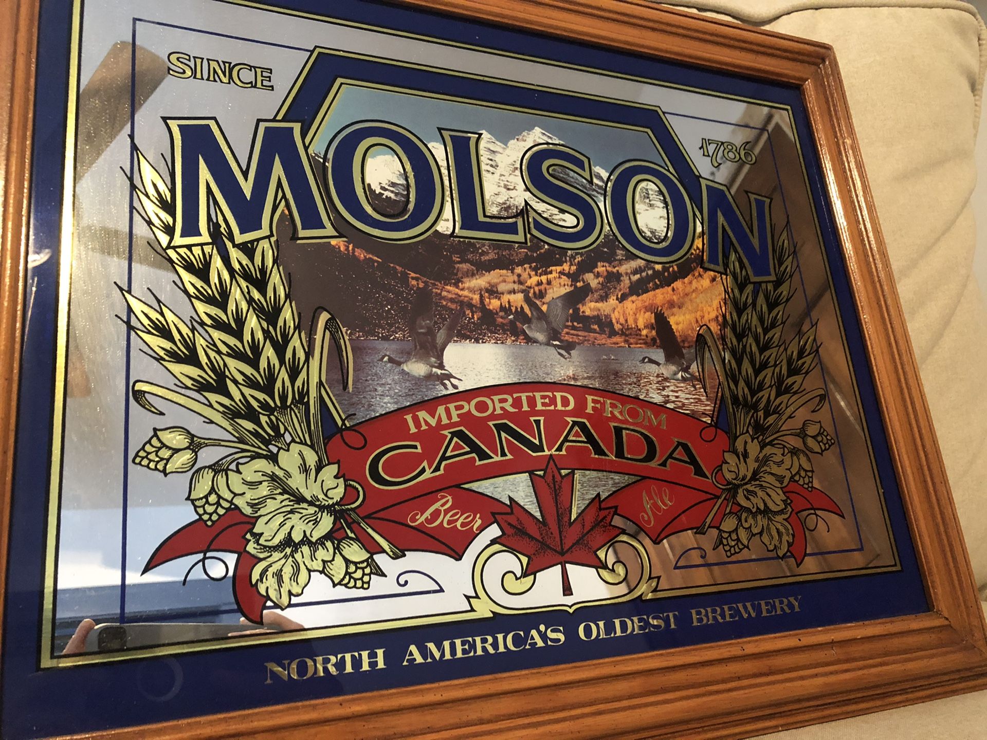 Vintage Molson Beer Sign