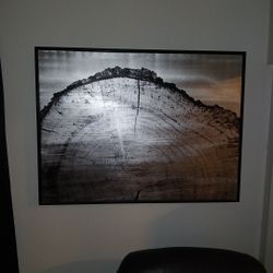 Make Offer! 4ft By 3 Ft Black And Silver Wood Stump Print