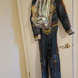 Wasp Costume (The Antman And The Wasp