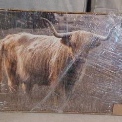 Wall Art Framed, Excellent condition- As New- Just For  $25