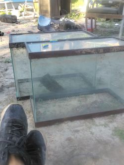 Two fish tank