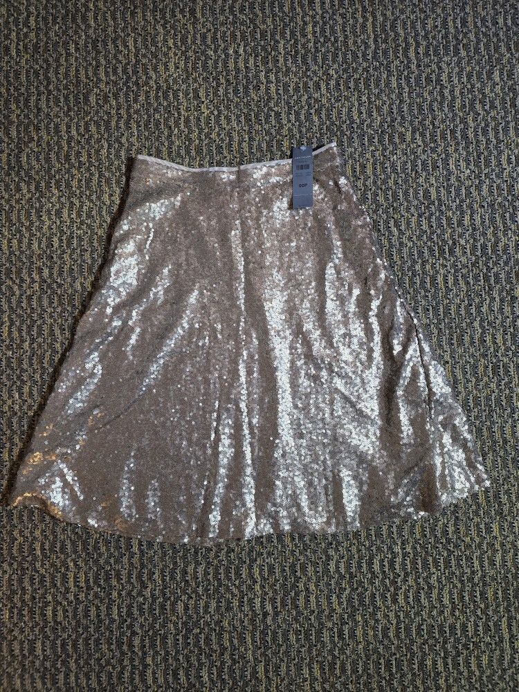Ann Taylor Skirt