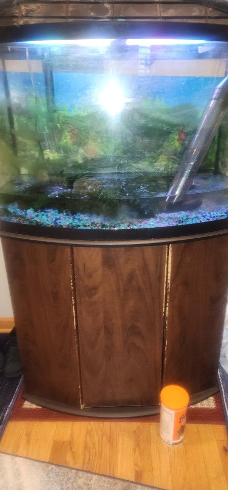 50 Gallon Fish Tank
