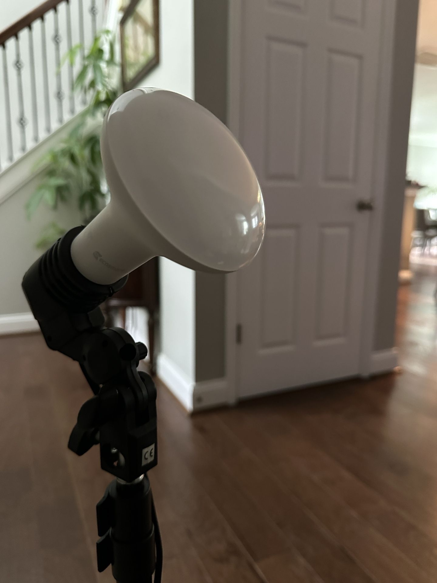 Portable Lights