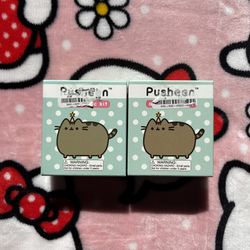 Pusheen Magnetic Kits 