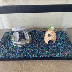 10 Gallon Fish Tank