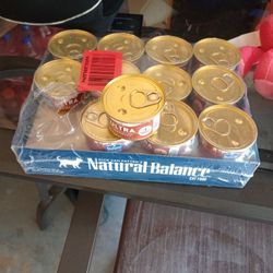 Cat Food 24 Pack 