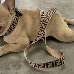  FF Designer Dog Leash & Collar Set
