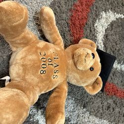 Bear Plush 