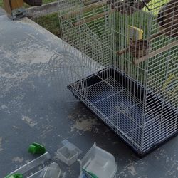 Bird Cage And Accessories 