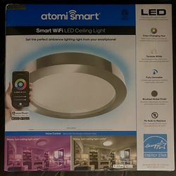 Smart Wi-Fi LED ceiling light