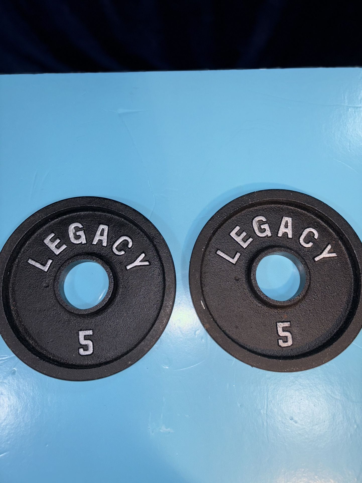 Two 5 lb Olympic Weight Plates