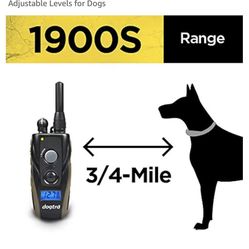 Dog Training Remount Like New in Original Case and Box