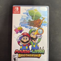 Mario And Luigi Brother ship Game