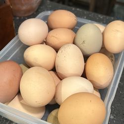 fresh farm eggs local