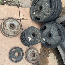 olympic barbell weights 