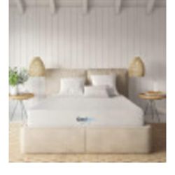 Mattress with boxspring 