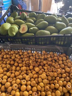 Mango y nance $10 por libra