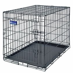 Dog Kennel