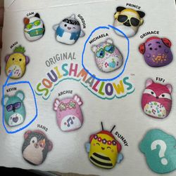 ISO Happy Meal Squishmallow (Kevin and Michaela)
