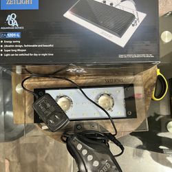 Zetlight