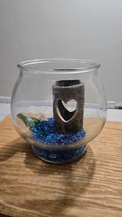 Fish bowl