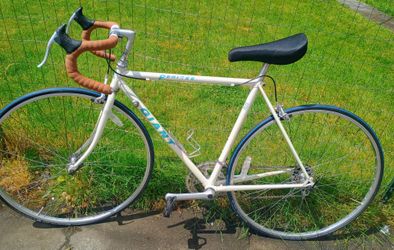 Vintage Giant Perigee 10-Speed – Clean & Ready to Ride