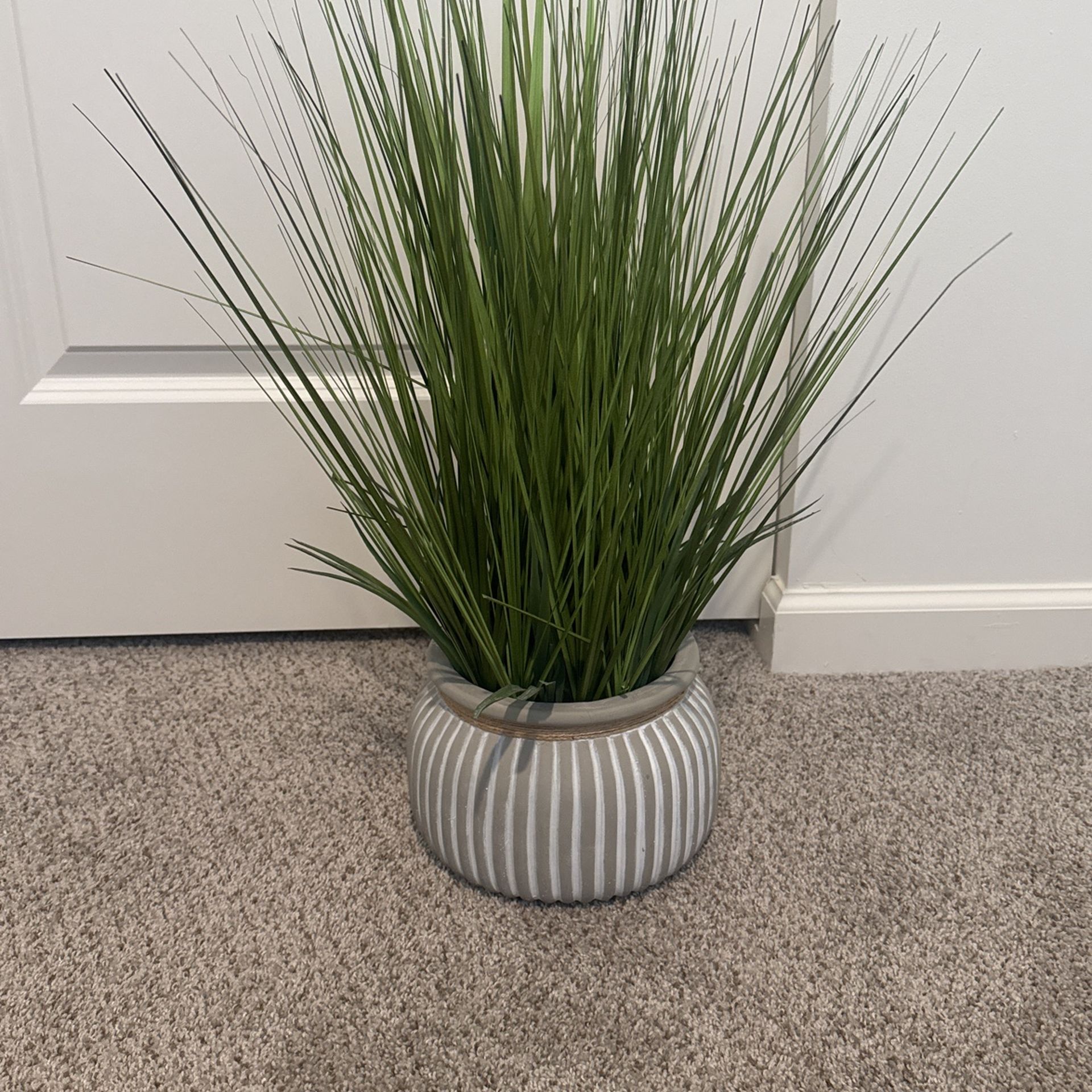 Fake Grass Plant