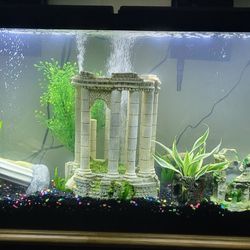 Fish Tank/Aquarium 55 Gallon