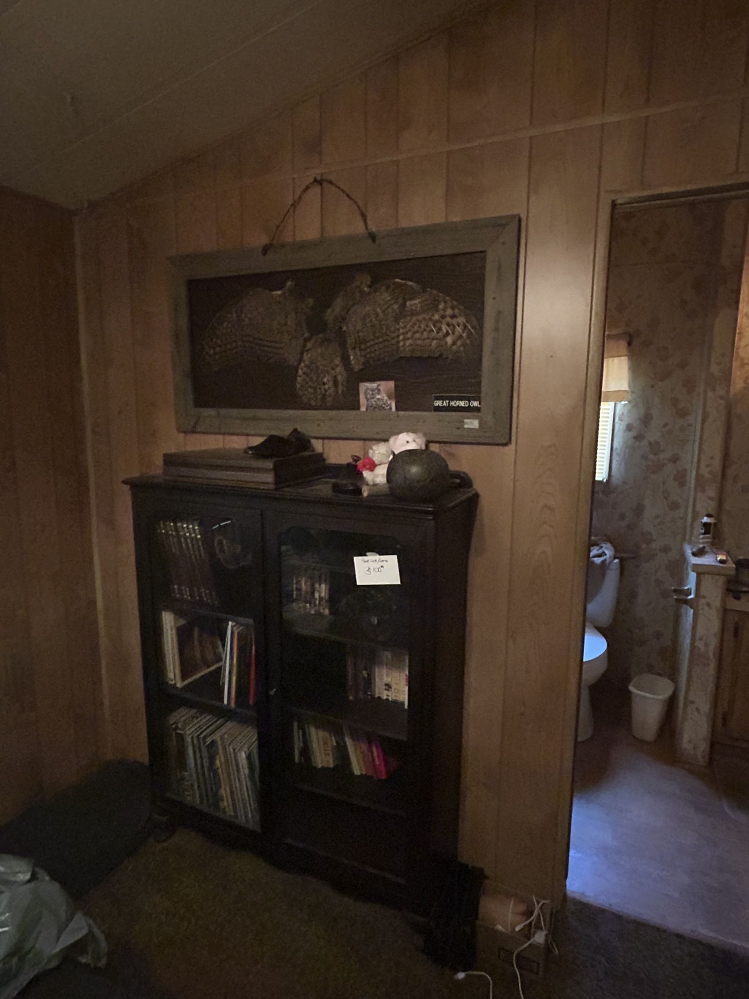 Dog House - Book Cabinet