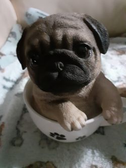 Cute little ceramic pug or French Bulldog in a cup figurines for a table top