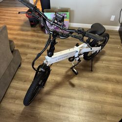 Lectric Brand E Bike For Sale