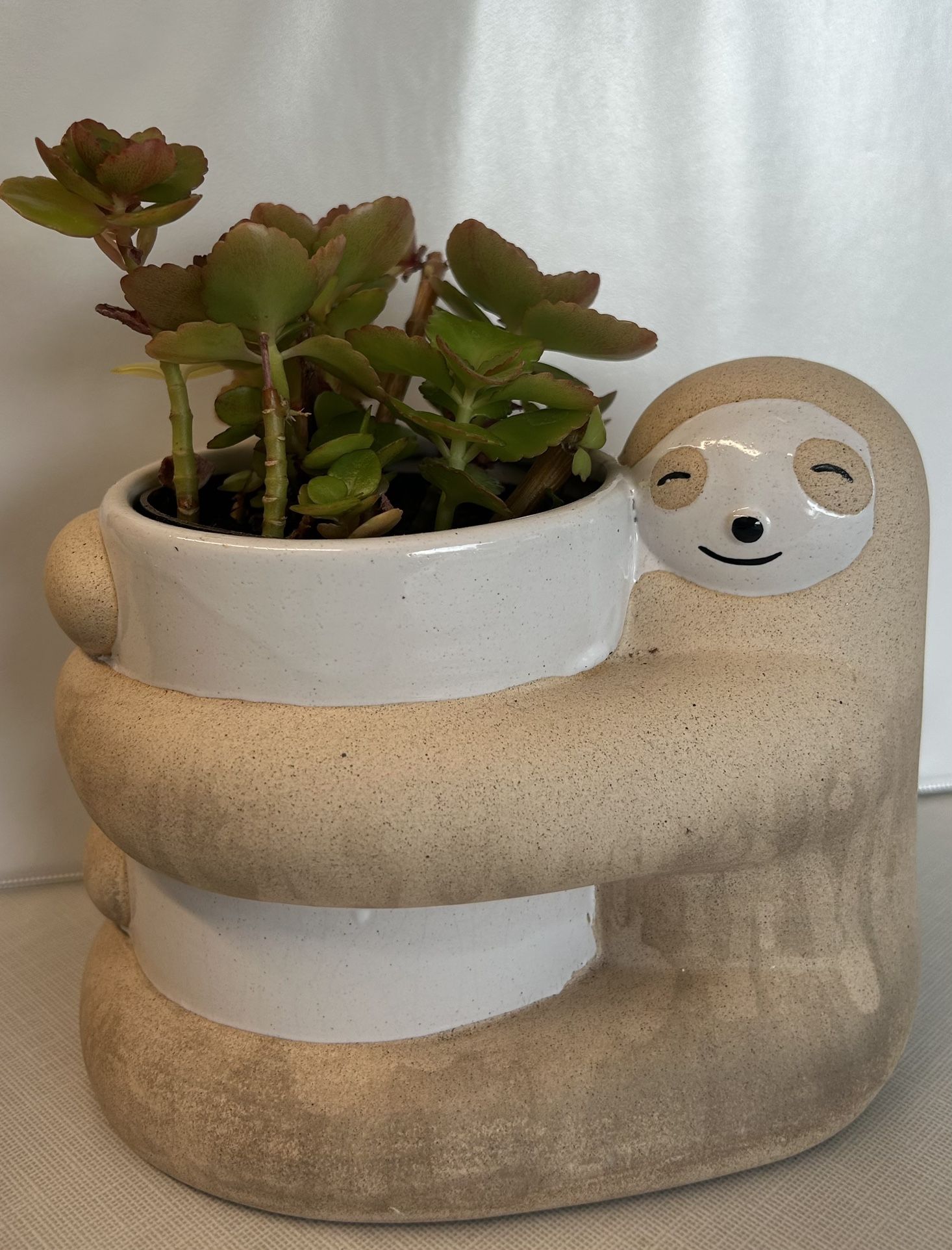 Adorable Sloth Planter with Plant