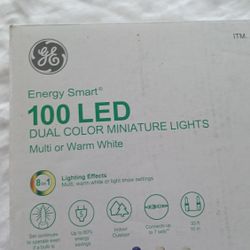 100 Led Dual Colorful Miniature Light