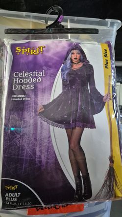 Halloween Costume WITCH adults