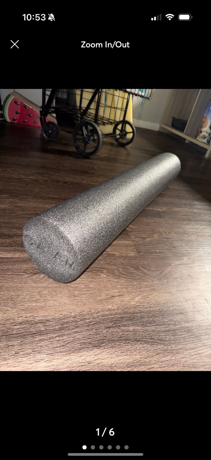 gaiam foam roller exercise