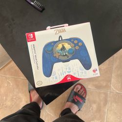 Nintendo Switch REMATCH Wired Controller Zelda Breath of the Wild Hyrule Blue
