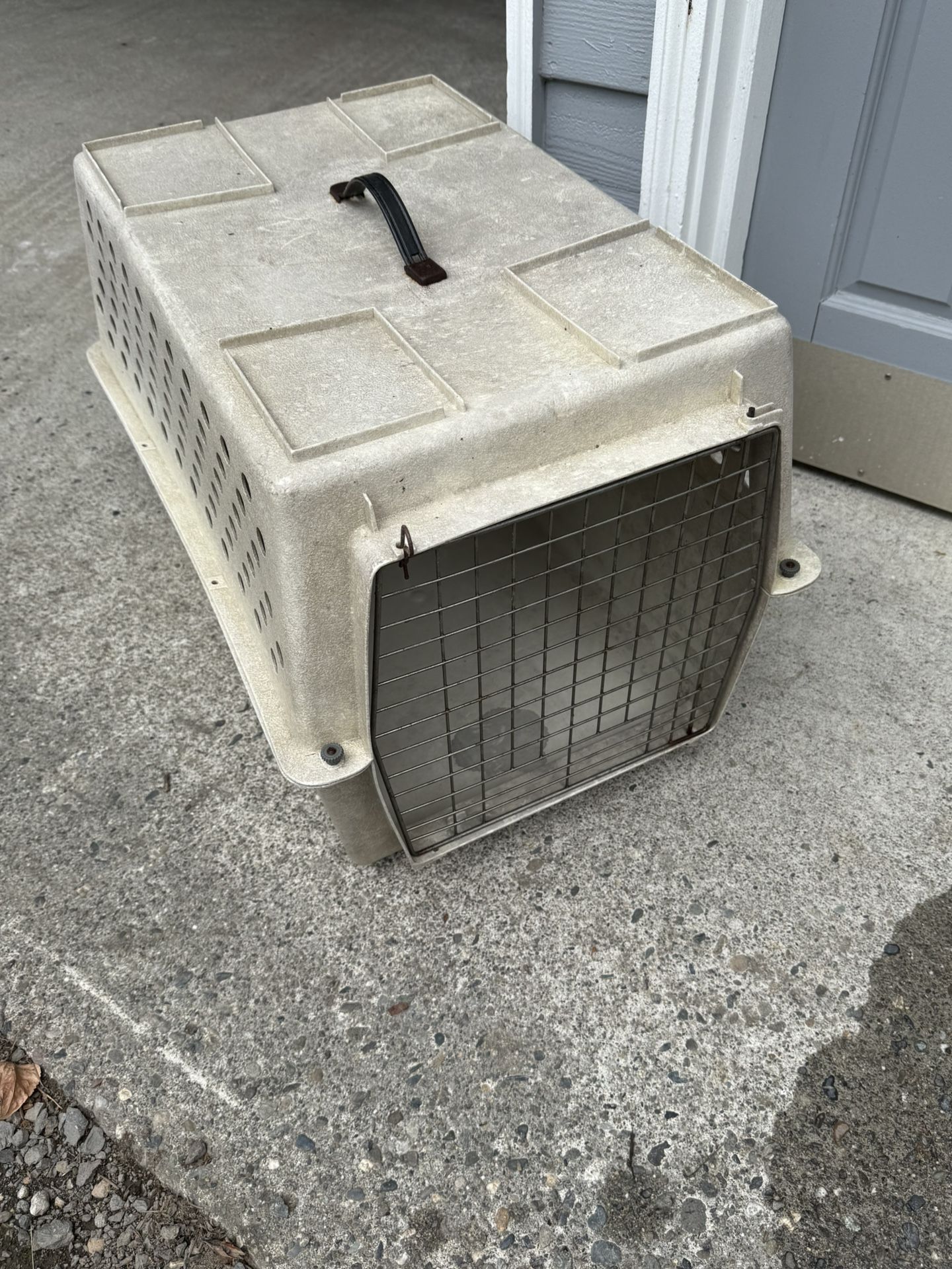 Cat or Dog Carrier