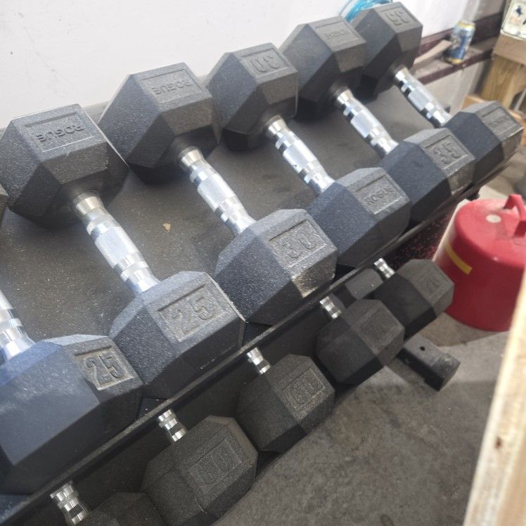 Rogue gym Equipment