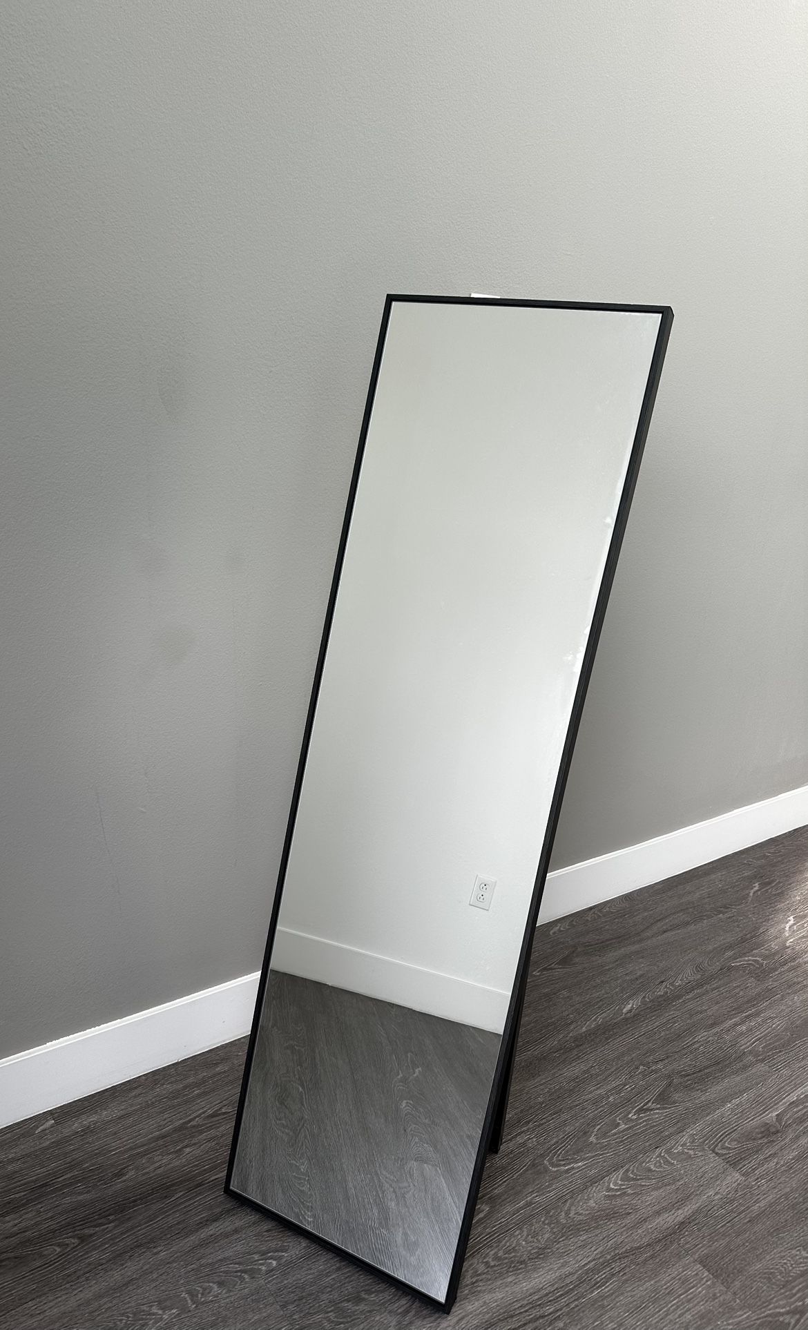 Black Standing Mirror (HomeGoods)