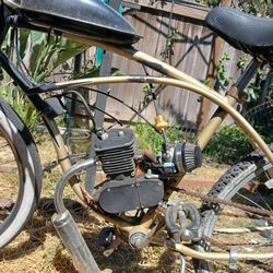 Beach Cruiser With 2 Stroke Motor 