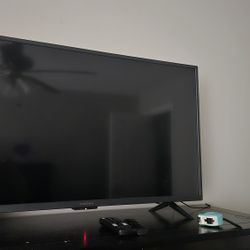 42 Inch Insignia Tv With Firestick And Tv Remote