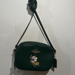 Disney Coach Bag