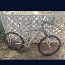 Schwinn Mountain Bike