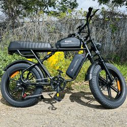 Electric Bike 