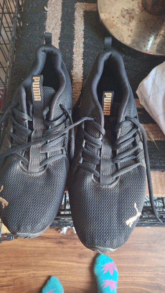Pumas Shoes