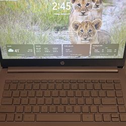 HP Laptop