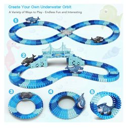 Shark race track
