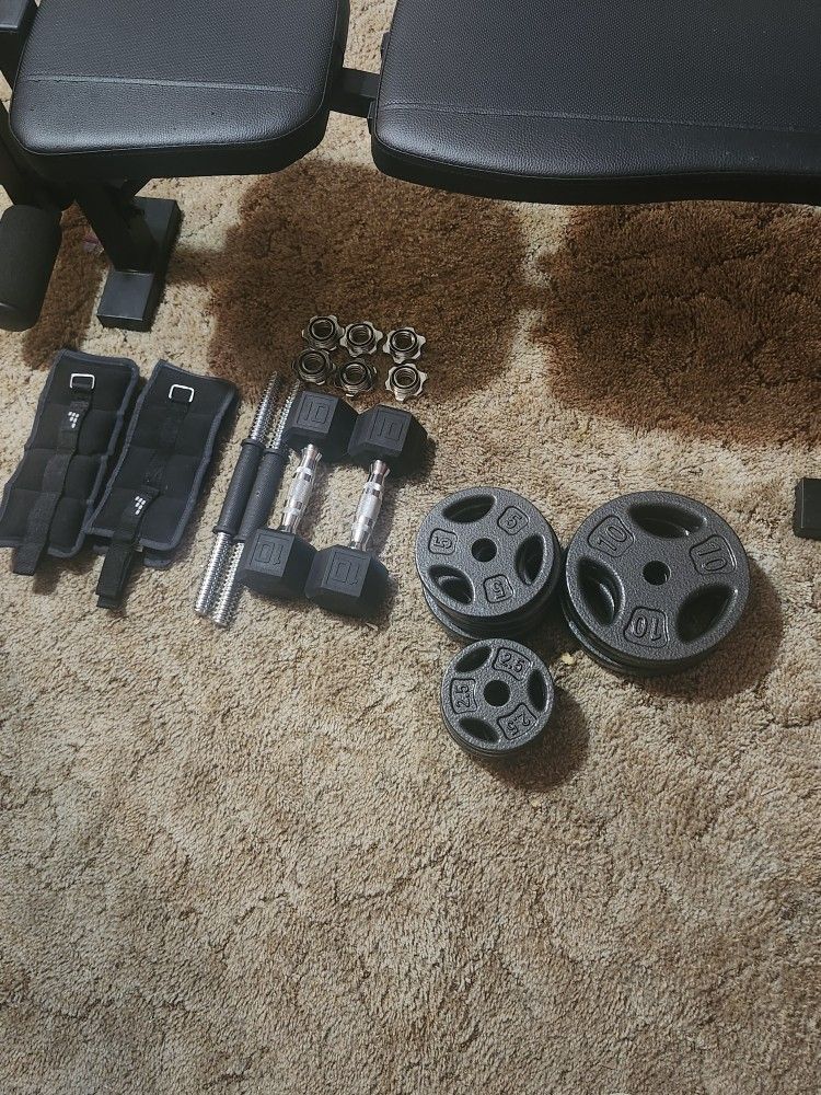 Bench Press + Equipment